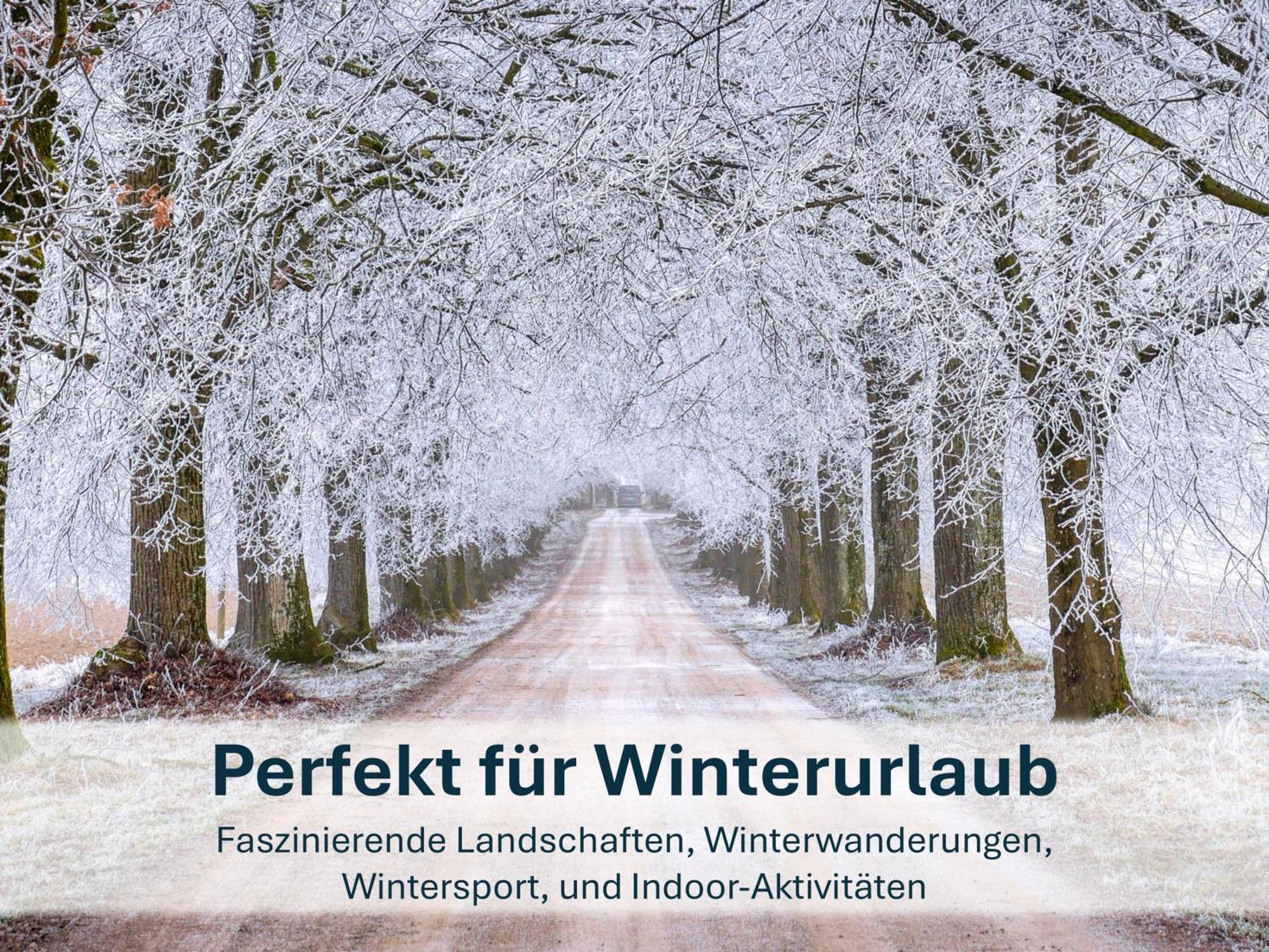 Zinnowitz, Paradies Am Wald - Wg 05 Ngoại thất bức ảnh