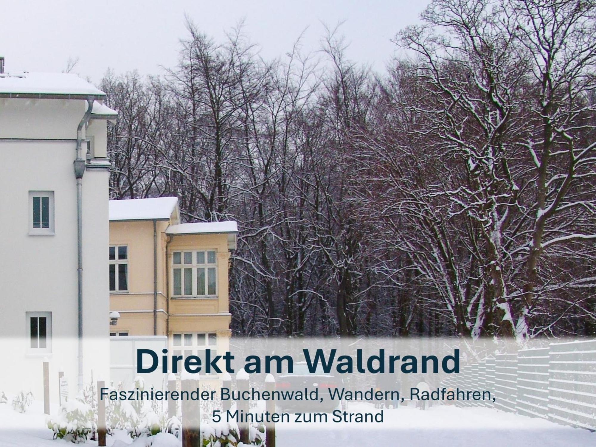 Zinnowitz, Paradies Am Wald - Wg 05 Ngoại thất bức ảnh